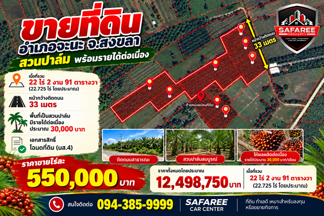 ขายที่ดินสวนปาล์ม อำเภอจะนะ จ.สงขลา เนื้อที่รวม 22 ไร่ 2 งาน 91 ตารางวา