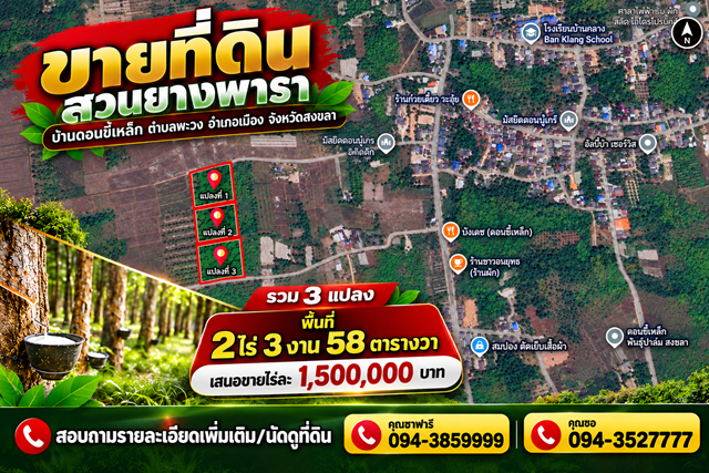 ขายที่ดินสวนยางพารา (บ้านดอนขี้เหล็ก) ตำบลพะวง อำเภอเมือง จังหวัดสงขลา 3 แปลง พื้นที่ 2 ไร่ 3 งาน 58 ตารางวา  