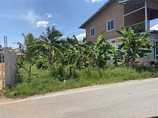 S 92930051 0