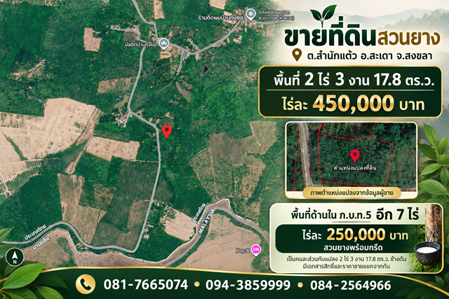 ขายที่ดินสวนยาง ตำบลสำนักแต้ว อำเภอสะเดา พื้นที่ 2 ไร่ 3 งาน 17.8 ตารางวา