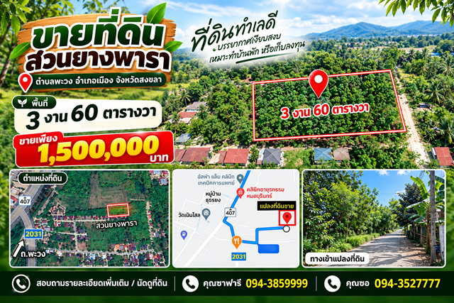 ขายที่ดินสวนยางพารา ที่ต้ัง ตำบลพะวง อำเภอเมือง จังหวัดสงขลา พื้นที่ 3 งาน 60 ตารางวา